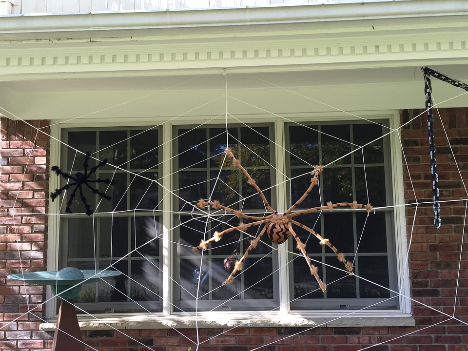 spider
