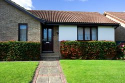 house lawn
