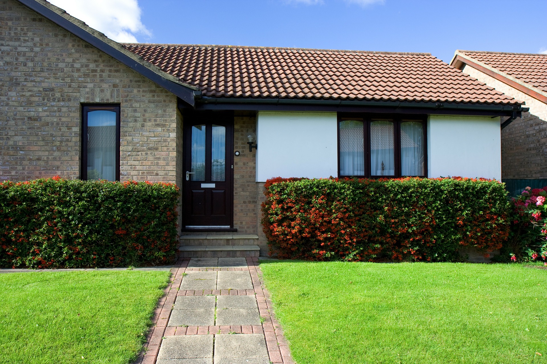 house lawn